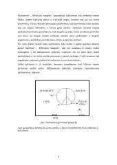 Verslo planas: žuvies ir jūros gėrybių pardavimas UAB "Mėlynasis banginis" 10 puslapis