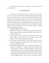 Verslo planas: žvejybinių tinklų ir virvių gamyba UAB "Utzon" 11 puslapis