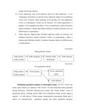 Verslo planas: žvejybinių tinklų ir virvių gamyba UAB "Utzon" 12 puslapis