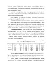 Verslo planas: žvejybinių tinklų ir virvių gamyba UAB "Utzon" 13 puslapis