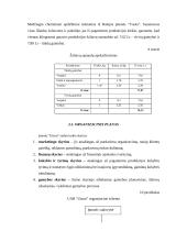 Verslo planas: žvejybinių tinklų ir virvių gamyba UAB "Utzon" 14 puslapis