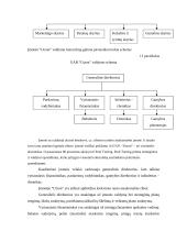 Verslo planas: žvejybinių tinklų ir virvių gamyba UAB "Utzon" 15 puslapis