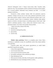 Verslo planas: žvejybinių tinklų ir virvių gamyba UAB "Utzon" 6 puslapis