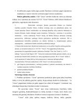 Verslo planas: žvejybinių tinklų ir virvių gamyba UAB "Utzon" 7 puslapis