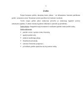 Verslo plano rizikos įvertinimas 2 puslapis