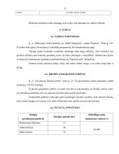 Verslo plano rizikos įvertinimas 11 puslapis