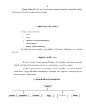 Verslo plano rizikos įvertinimas 12 puslapis