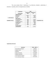 Verslo plano rizikos įvertinimas 13 puslapis