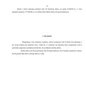 Verslo plano rizikos įvertinimas 14 puslapis