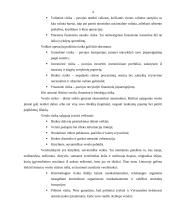 Verslo plano rizikos įvertinimas 4 puslapis