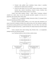 Verslo plano rizikos įvertinimas 5 puslapis