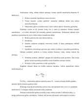 Verslo plano rizikos įvertinimas 6 puslapis