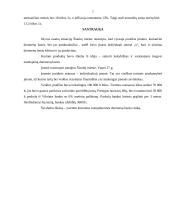 Verslo plano rizikos įvertinimas 7 puslapis