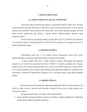 Verslo plano rizikos įvertinimas 8 puslapis