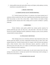 Verslo plano rizikos įvertinimas 9 puslapis