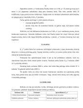 Verslo plano rizikos įvertinimas 10 puslapis