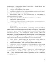 Verslo plėtros Lietuvoje ir Europos Sąjungoje analizė ir perspektyvos 11 puslapis