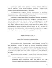 Verslo plėtros Lietuvoje ir Europos Sąjungoje analizė ir perspektyvos 12 puslapis