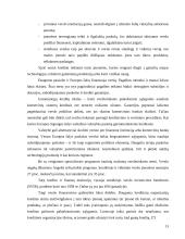 Verslo plėtros Lietuvoje ir Europos Sąjungoje analizė ir perspektyvos 13 puslapis