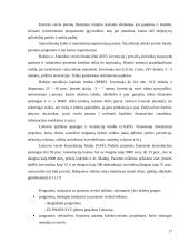 Verslo plėtros Lietuvoje ir Europos Sąjungoje analizė ir perspektyvos 17 puslapis