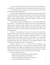 Verslo plėtros Lietuvoje ir Europos Sąjungoje analizė ir perspektyvos 3 puslapis