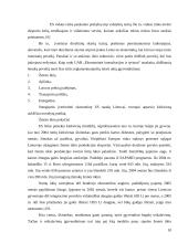 Verslo plėtros Lietuvoje ir Europos Sąjungoje analizė ir perspektyvos 10 puslapis