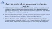 Darbo partija pristatymas 11 puslapis