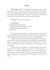 Verslo ryšiai ir verslo ryšių strategija 2 puslapis