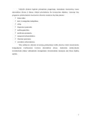 Verslo ryšiai ir verslo ryšių strategija 6 puslapis