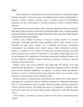 Verslo sprendimai 2 puslapis