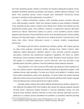 Verslo sprendimai 17 puslapis