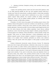 Verslo sprendimai 19 puslapis