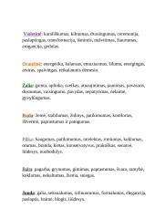 Spalvų teorija 5 puslapis