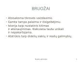 Antanas Baranauskas - Lietuvos poetas, kalbininkas, vyskupas, giesminykas 5 puslapis