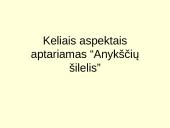 Keliais aspektais aptariamas “Anykščių šilelis”?