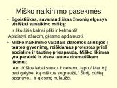 Keliais aspektais aptariamas “Anykščių šilelis”? 13 puslapis
