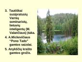 Keliais aspektais aptariamas “Anykščių šilelis”? 4 puslapis