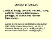 Keliais aspektais aptariamas “Anykščių šilelis”? 10 puslapis