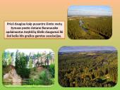 Antanas Baranauskas (1835-1902) - lietuvių poetas 12 puslapis