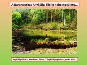 Antanas Baranauskas (1835-1902) - lietuvių poetas 13 puslapis