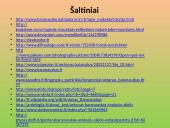 Antanas Baranauskas (1835-1902) - lietuvių poetas 17 puslapis