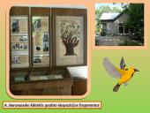 Antanas Baranauskas (1835-1902) - lietuvių poetas 10 puslapis