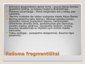 Liūdna pasaka - gulbės giesmė  10 puslapis