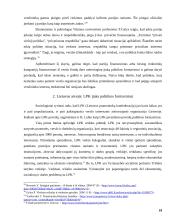 Verslo vietos politikos formavime analizė 10 puslapis