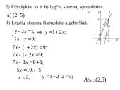 Dviejų lygčių su dviem nežinomaisiais sistemos 7 puslapis