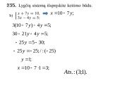 Dviejų lygčių su dviem nežinomaisiais sistemos 10 puslapis