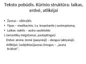 Individualioji Maironio lyrika  11 puslapis