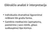 Individualioji Maironio lyrika  13 puslapis
