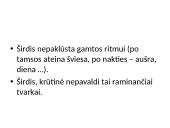 Individualioji Maironio lyrika  18 puslapis