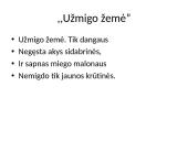 Individualioji Maironio lyrika  7 puslapis